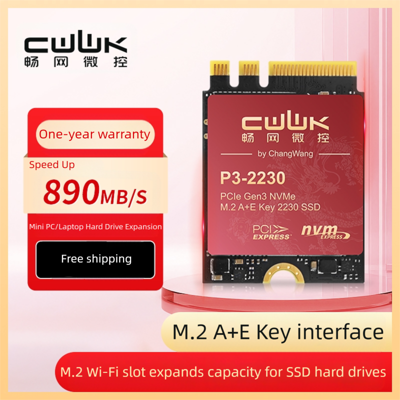 CWWK 256G M.2 A+E Key 2230 SSD – cwwk