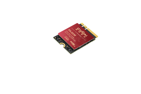 CWWK 256G M.2 A+E Key 2230 SSD